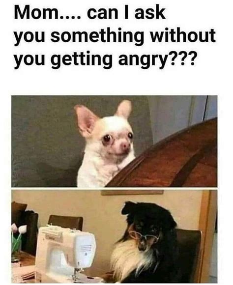 50 Funny Memes That Are All Too Relatable, Shared By This Instagram.
